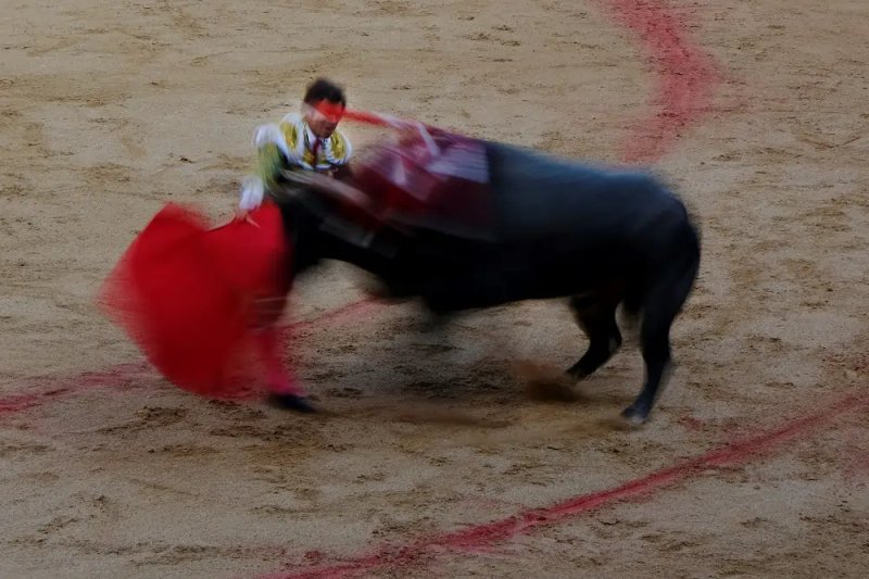 Image for Spain abolishes national bullfighting award in cultural shift