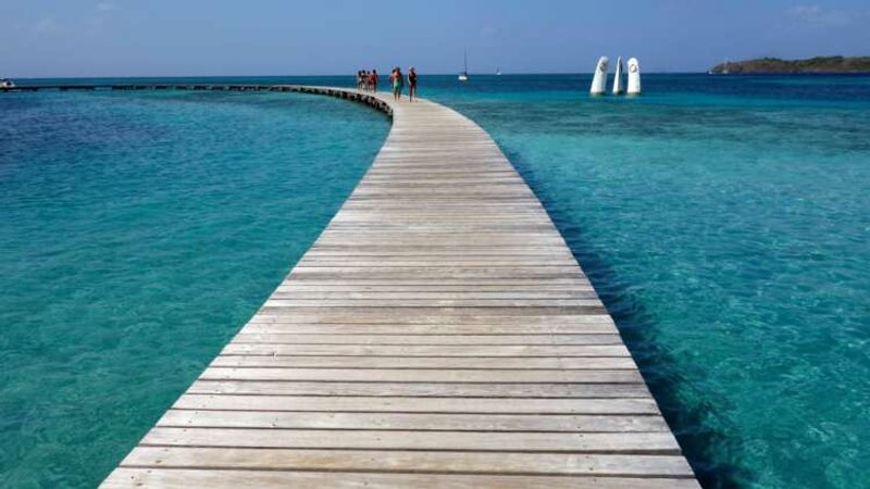 Image for Trees or tourists? Jamaica’s COVID recovery push threatens green aims