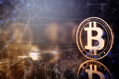 Image for The Bitcoin Metric: What Bitcoin’s Price Might Mean for Today’s Investors