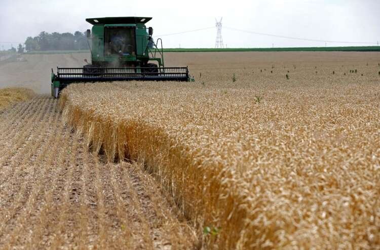 FILE PHOTO: A combine drives over stalks of soft red winter wheat during the harvest on a farm in Dixon, Illinois