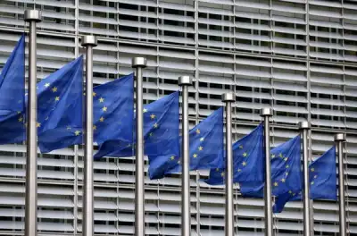 Image for With eye on China, EU drafts rules to curb state-backed foreign buyers