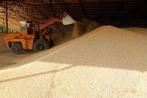 Afghanistan's flour imports from Russia surge in 2024 amid geopolitical shifts - Global Banking & Finance Review