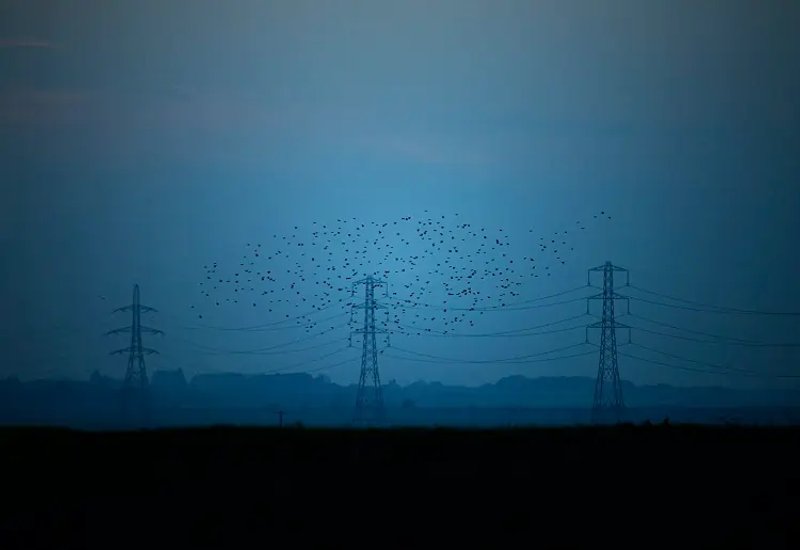 Image for UK energy regulator proposes new rules to cut backlog of projects awaiting grid link-up