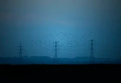 Image for UK energy regulator proposes new rules to cut backlog of projects awaiting grid link-up