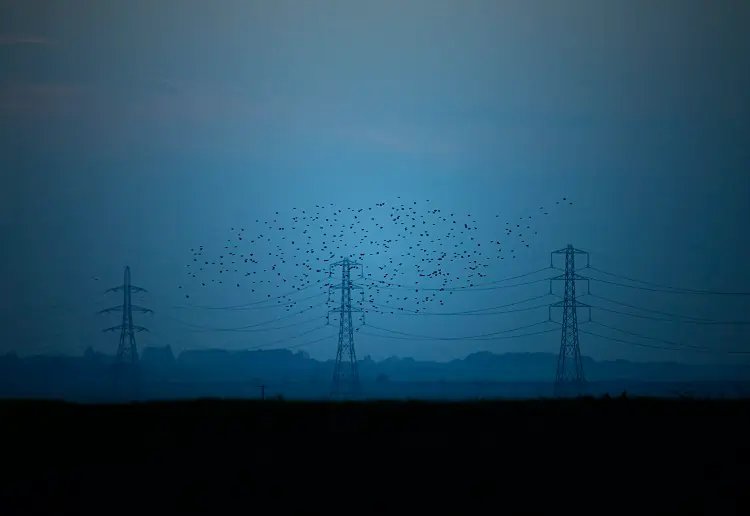 Image for UK energy regulator proposes new rules to cut backlog of projects awaiting grid link-up