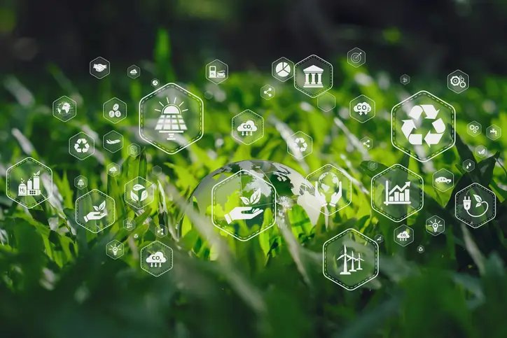 Image for Sustainability and Regulation: From Compliance to Competitive Advantage