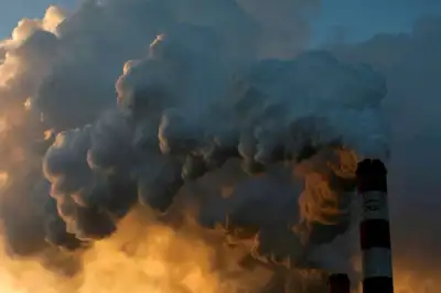 Image for Fossil fuel shares drop in value compared with clean energy, think tank says