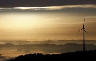 Image for Central banks, wealth funds going greener and more activist -survey