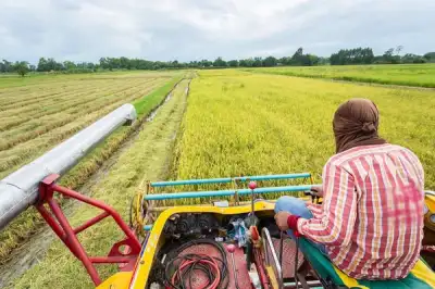 Image for Optimizing the benefits of agriculture to transform Nigeria