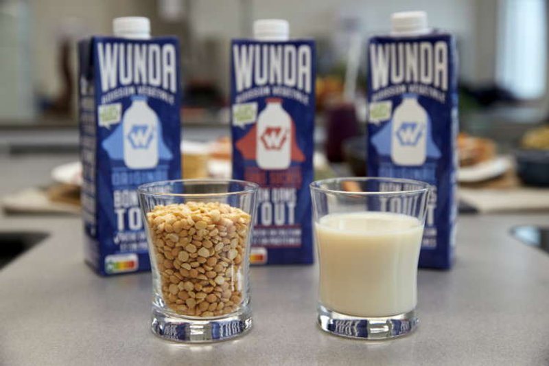 Image for Nestle launches pea-based milk alternative under ‘Wunda’ brand