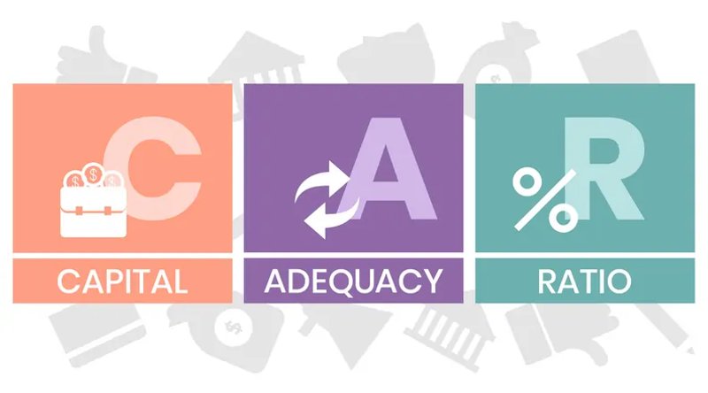 Image for Capital adequacy ratios: examine the capital reserves banks hold against their risk-weighted assets.