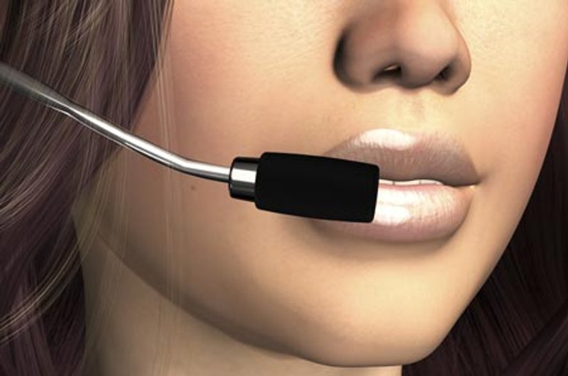 Image for SPEAKING CLEARLY: THE CASE FOR VOICE BIOMETRICS