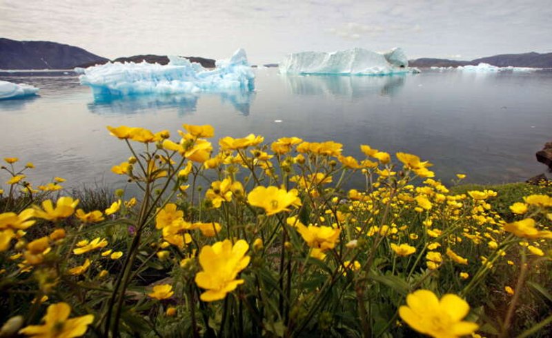 Image for World Bank commits to annual reports on climate action plan