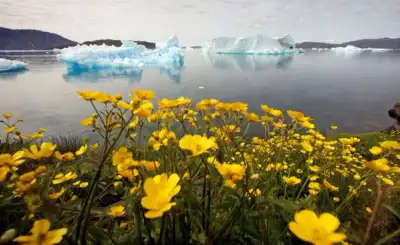 Image for World Bank commits to annual reports on climate action plan