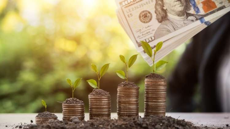 Image for The Future of Green Finance