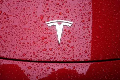 Image for Tesla crash victim lauded ‘full self-driving’ in videos on Tiktok