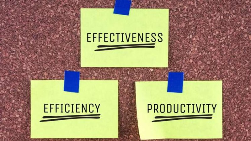 Image for Efficiency vs productivity: how to maximise the output of streamlined teams