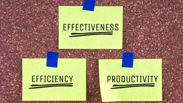 Image for Efficiency vs productivity: how to maximise the output of streamlined teams