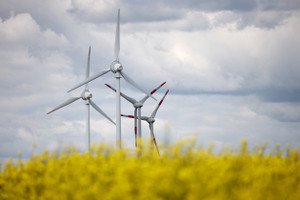 Wind turbines generating renewable energy in Europe amidst climate change challenges - Global Banking & Finance Review
