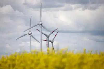 Image for EU's 2024 new wind capacity less than half amount needed for climate goal, industry group says