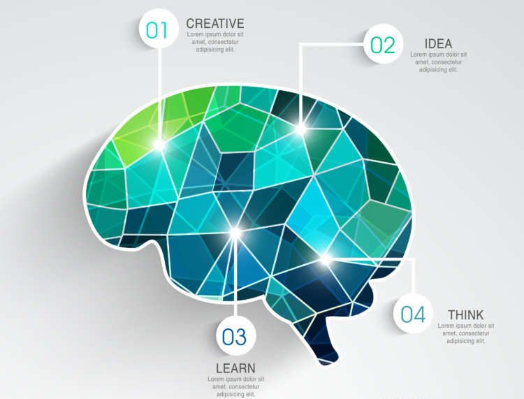 idea-and-education-concept-with-creative-illustration-of-human-brain-on-grey-background_L