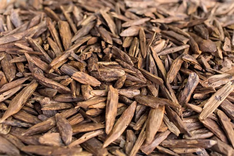 Image for Agarwood Chip Market Analysis: How E-Commerce, Perfumery, and Sustainability Drive Growth