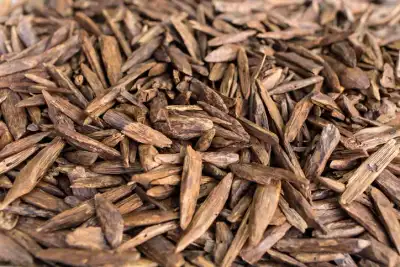 Image for Agarwood Chip Market Analysis: How E-Commerce, Perfumery, and Sustainability Drive Growth