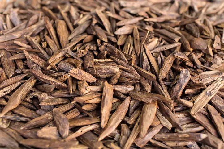 Image for Agarwood Chip Market Analysis: How E-Commerce, Perfumery, and Sustainability Drive Growth