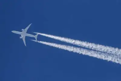 Image for European business travellers say set to fly less after COVID-19