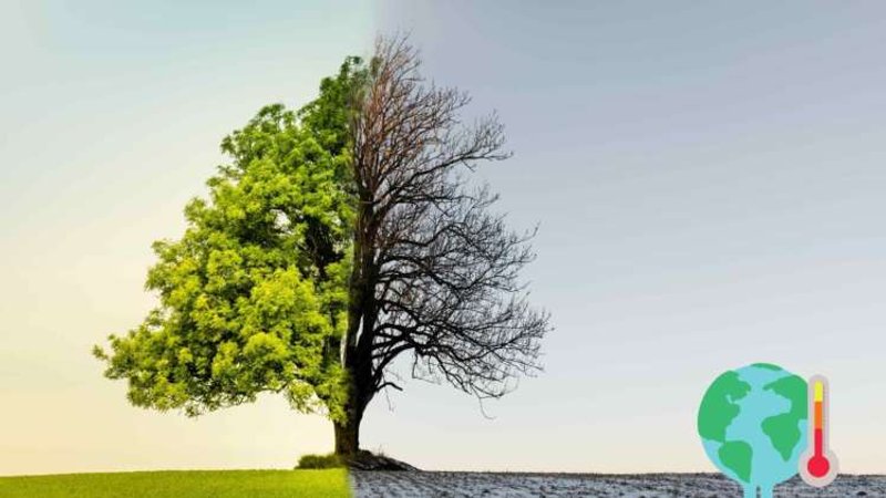 Image for How Climate Risk could proliferate other Secondary risk types