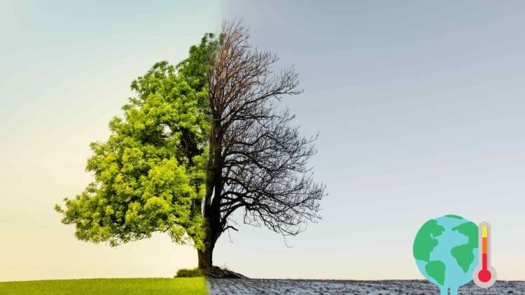 Illustration showing climate risks impacting financial sectors - Global Banking & Finance Review