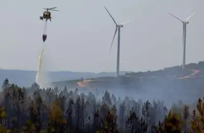 Image for France battles massive wildfires, Britain records highest ever temperature