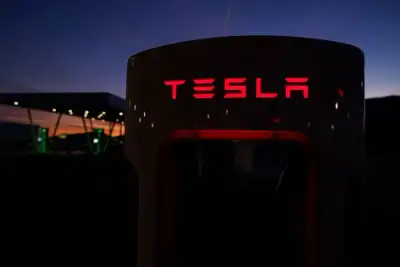 Image for Tesla investors pin hopes on cheaper EV model to boost sales after lackluster 2024