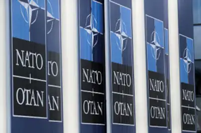 Image for Germany says it met NATO 2% defence spending target in 2024, short of Trump's demand