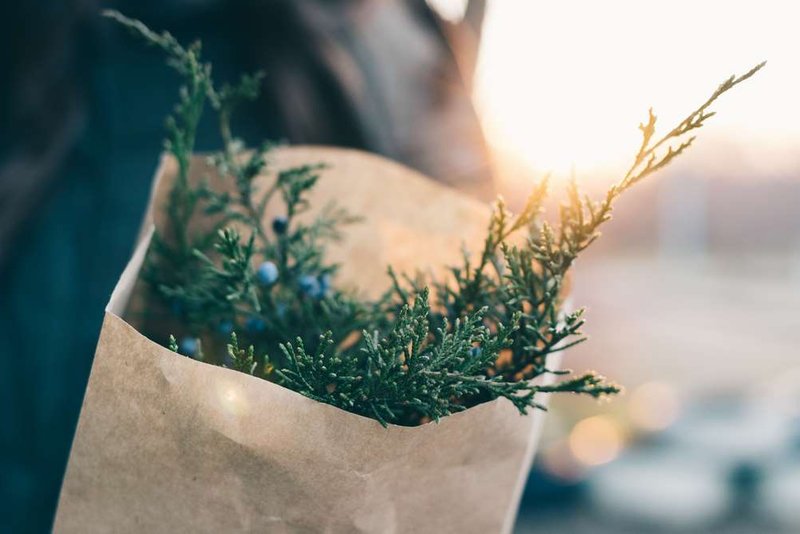 Image for History repeating itself? The great bundling debate