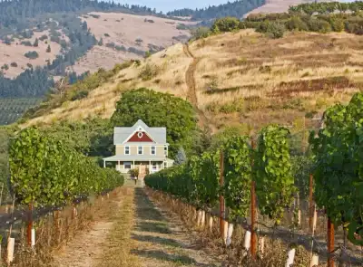 Image for People from Mozambique are the greenest in the world