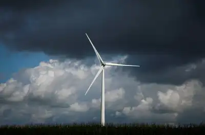 Image for France to stick with wind power development targets