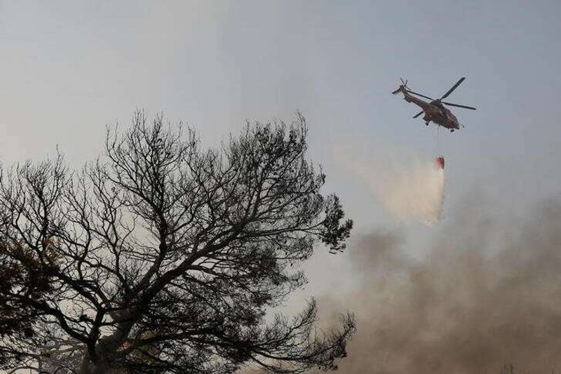 Image for PM apologises as Greece counts costs of wildfire catastrophe