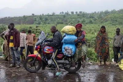 Image for Congo's displaced fear violence, rape if they return home