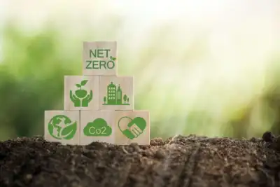 Image for Carbon Neutral and Net Zero: The New Disrupter-in-Chief