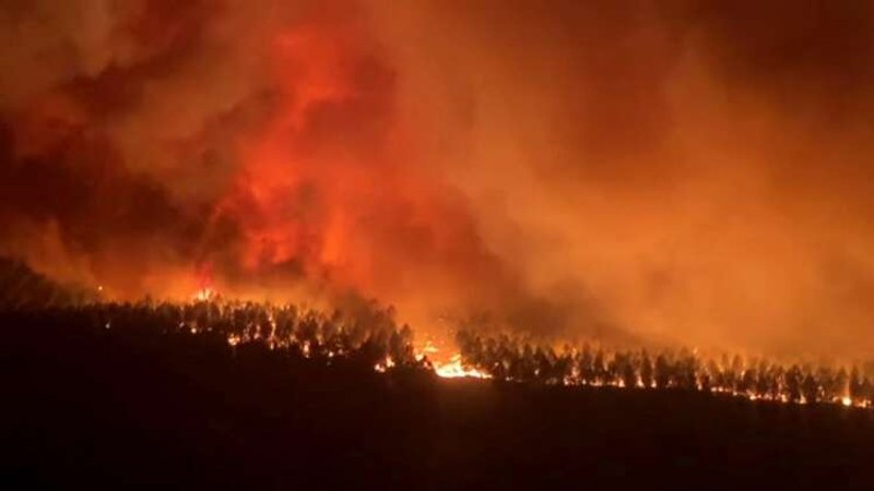 Image for Wildfires rage in France, thousands evacuated from homes
