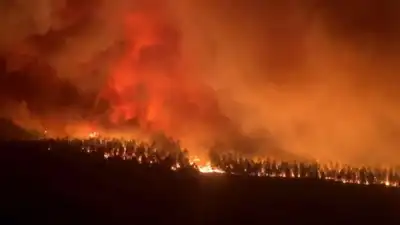 Image for Wildfires rage in France, thousands evacuated from homes