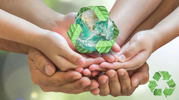 Image for Measured Steps Toward an ESG Standard