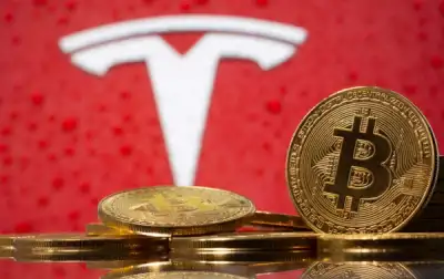 Image for Investors jolted by sinking Bitcoin, Tesla and other market favorites