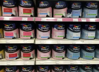 Image for Dulux maker Akzo Nobel beats forecasts through higher prices