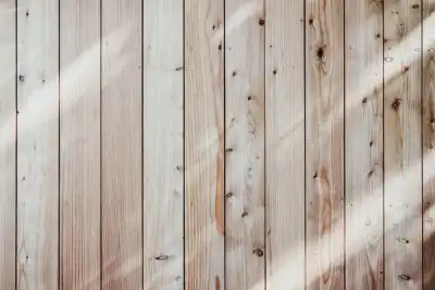 Image for Exclusive-Procter & Gamble to disclose more details about wood-pulp audits, investors say