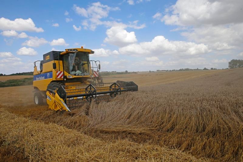 Image for Analysis-French wheat exports slump on poor crop, Algeria spat and Russian rivalry