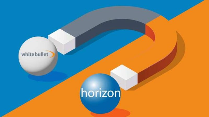 Image for White Bullet partners with Horizon Media to stem the flow of ads to pirate publishers