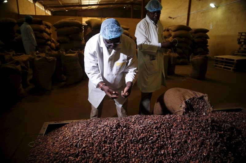 Nigerian cocoa processor Johnvents expands with UK investment - Global Banking & Finance Review