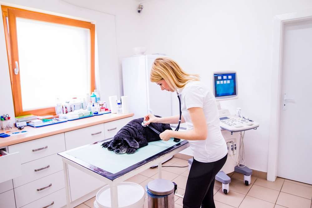 Illustration of essential skills for job security in the age of automation - Global Banking & Finance Review